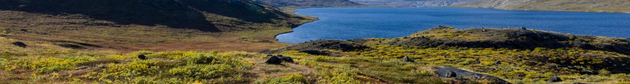 Tasersuatsiaq - Grönland Tasersuatsiaq - Grönland
