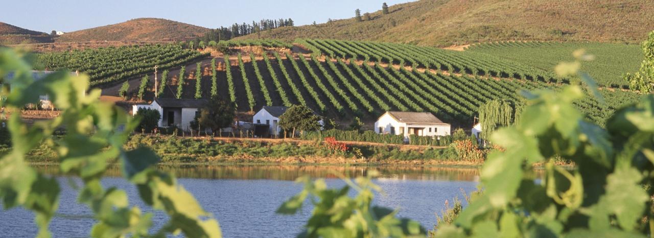 Rundreise Südafrika: Kasteel