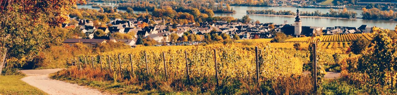 Deutschland-Hessen-Rheingau-Emotion