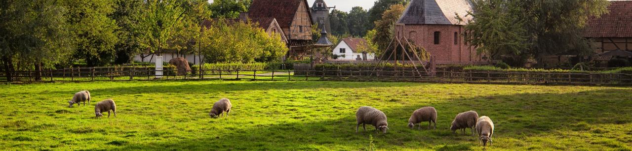 Geheimtipps_GettyImages-617694238
