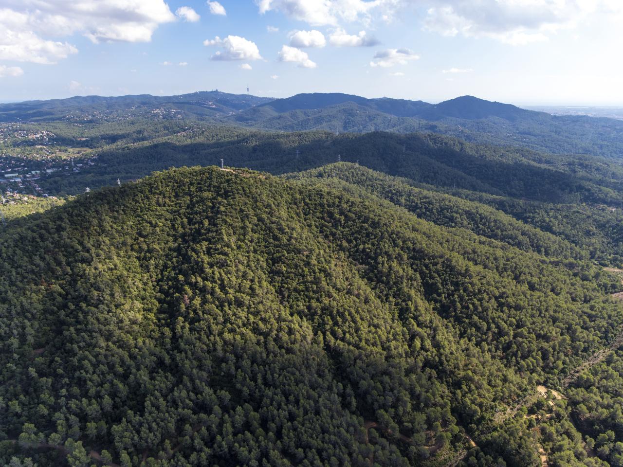 serra de collserola - Barcelona serra de collserola - Barcelona
