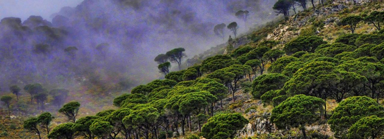 Rundreise_Spanien: Andalusien - Mijas