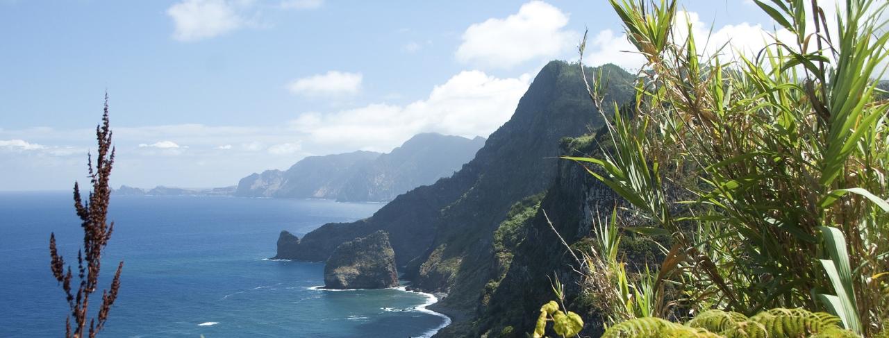 Rundreise_Portugal: Madeira