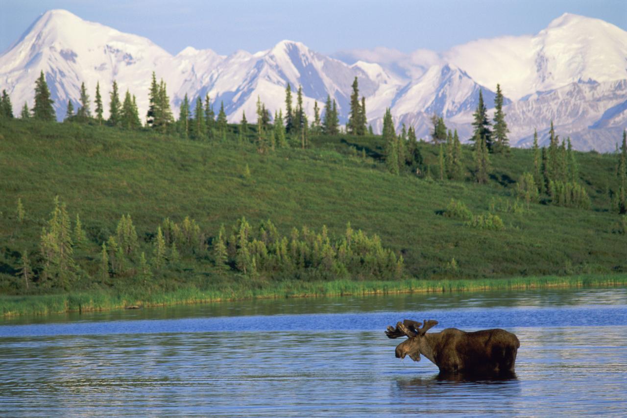 Alaska Alaska