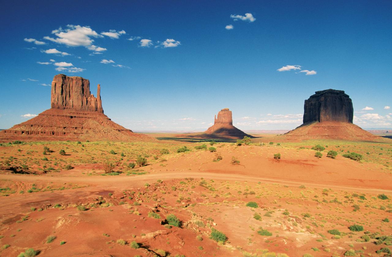 Arizona Arizona