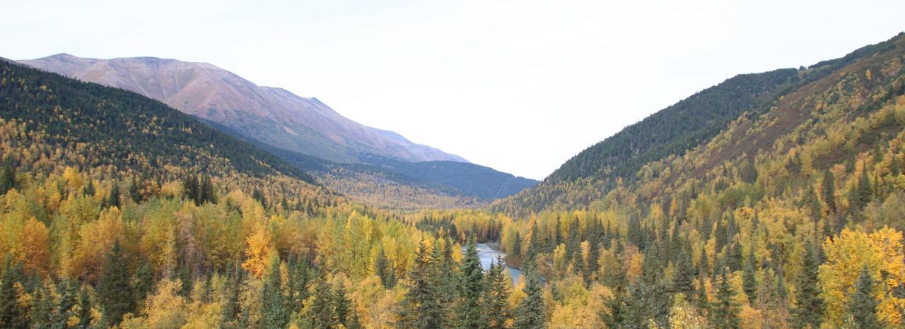 Rundreise USA: Alaska - Kenai