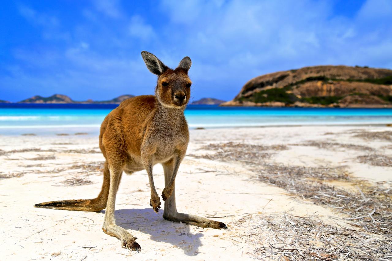 Cape Hillsborough Nationalpark - Queensland Cape Hillsborough Nationalpark - Queensland