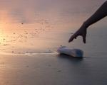 Plastik am Strand - Die italienische Insel Capri will mit einem Plastikverbot ab sofort das Meer vor Verschmutzung durch Müll schützen.