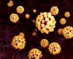 Coronavirus_Viren - In England wurden einige Lockerungen der Corona-Vorschriften wieder zurückgenommen.