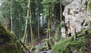 Teufelsschlucht - Rheinland-Pfalz Teufelsschlucht - Rheinland-Pfalz