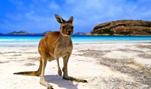 Cape Hillsborough Nationalpark - Queensland Cape Hillsborough Nationalpark - Queensland