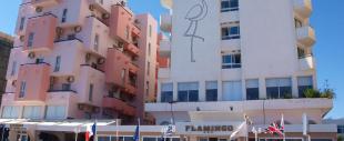 Flamingo Beach Flamingo Beach