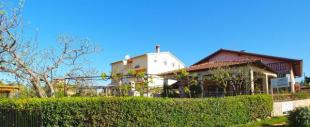 Rooms Antun 1238 Rooms Antun 1238