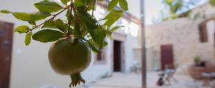 Oinoessa Traditional Boutique Guest Houses Oinoessa Traditional Boutique Guest Houses