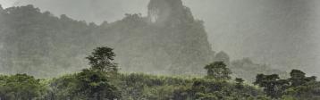 Thailand Monsun Regen Sturm Flut