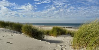 Renesse Renesse