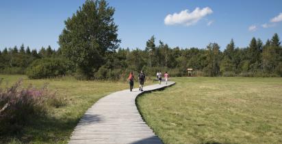 Wandern - Hessen Wandern - Hessen