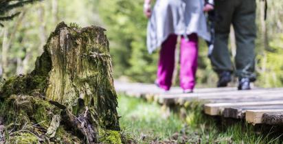 Wandern - Hessen Wandern - Hessen
