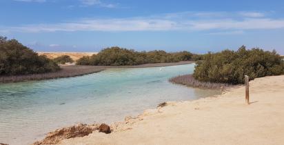 Aegypten-Ras Mohammed-Nationalpark-Oehler