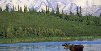 Alaska Alaska