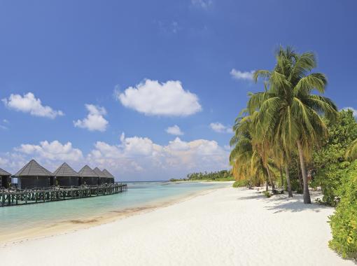 Malediven: Strand VI