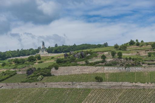 Deutschland-Weinfeste-Weinberge-Hessen-Rheingau