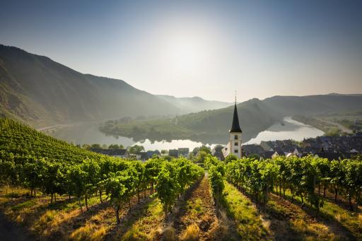 Weingut Bremm - Mosel Weingut Bremm - Mosel