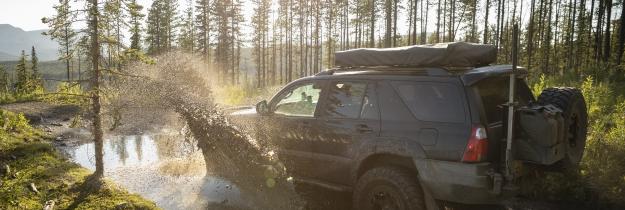 SUV+Geländewagen+Wald