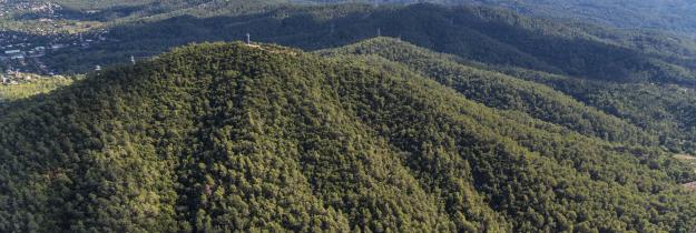 serra de collserola - Barcelona serra de collserola - Barcelona