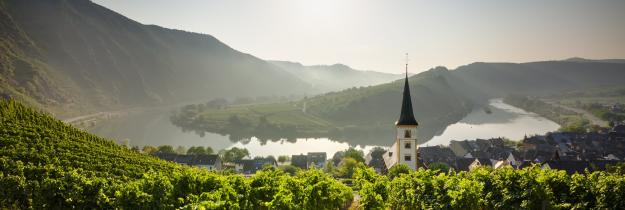 Weingut Bremm - Mosel Weingut Bremm - Mosel