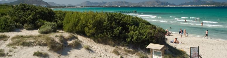 Platja de Muro - Playa De Muro Platja de Muro - Playa De Muro