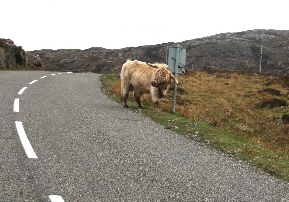 Schottland Schottland