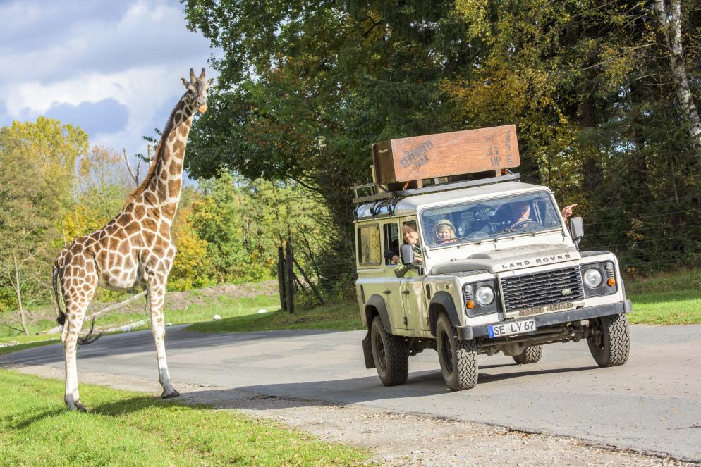 #Serengeti_Park_Hodenhagen