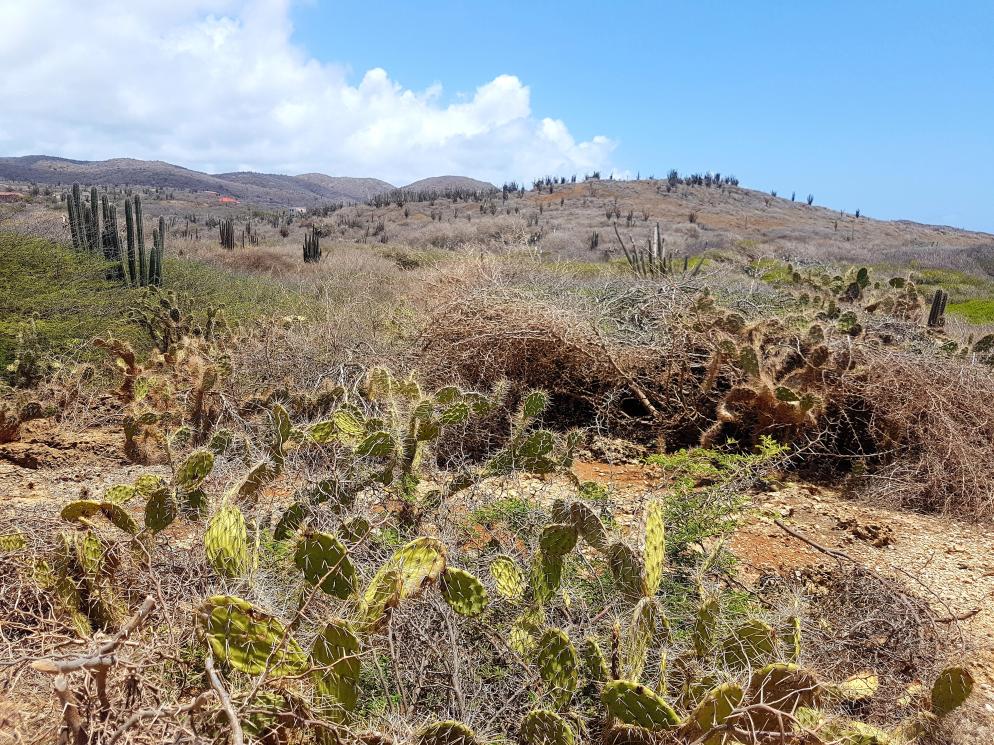 Curaçao Curaçao