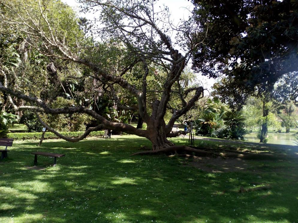 Lissabon+Botanischer_Garten#CHECK24/Drebenstedt
