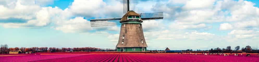 Corona: Niederlande_Emotion 1920x460