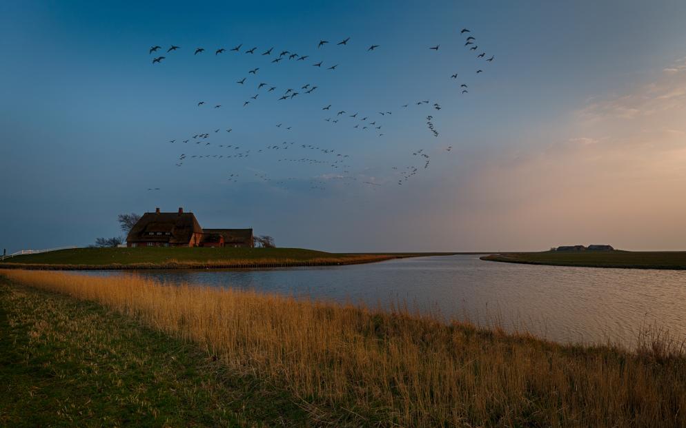 Hallig Hooge - Nordfriesland & Inseln Hallig Hooge - Nordfriesland & Inseln