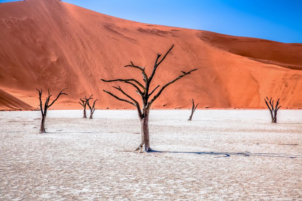 Deadvlei - Namibia Deadvlei - Namibia