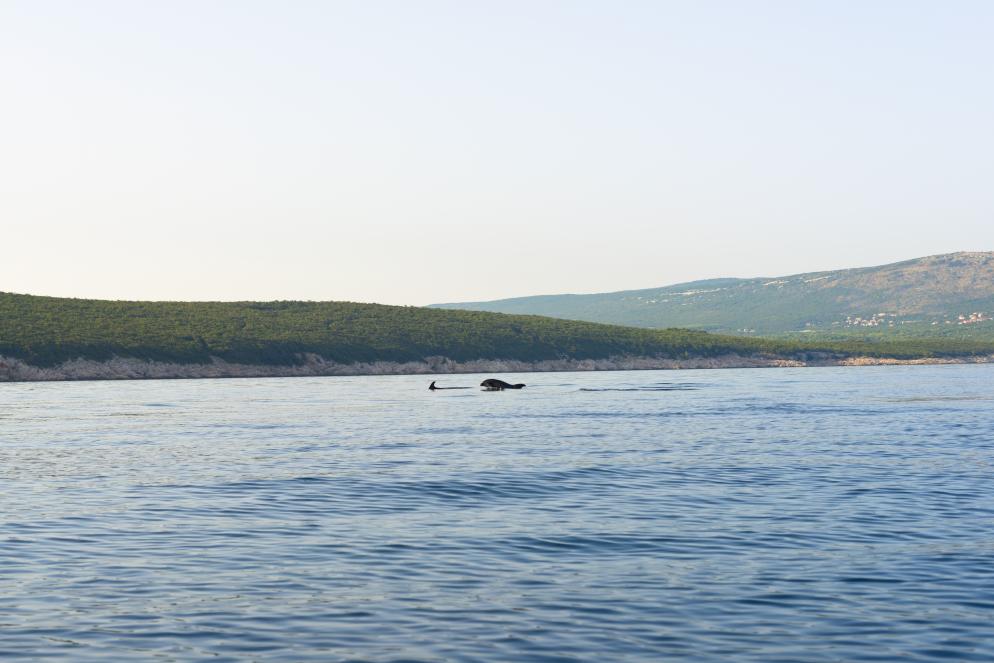 Kroatien Kroatien
