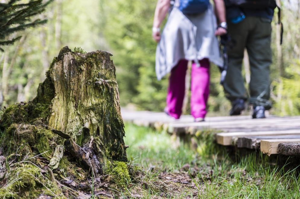 Wandern - Hessen Wandern - Hessen