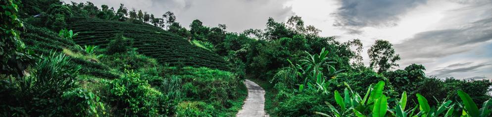 Chiang Rai Chiang Rai