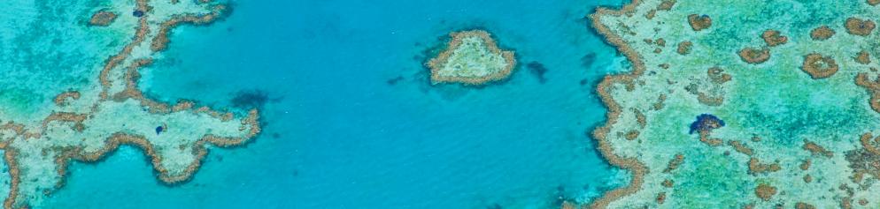 Great Barrier Reef - Australien Great Barrier Reef - Australien