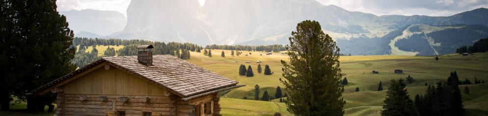 Italien-Südtirol-Seiser Alm-Emotion