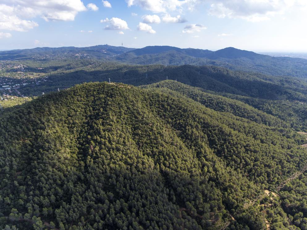 serra de collserola - Barcelona serra de collserola - Barcelona