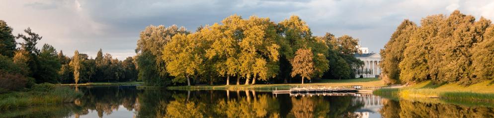 Teich im Wörlitzer Park Wörlitzer Park