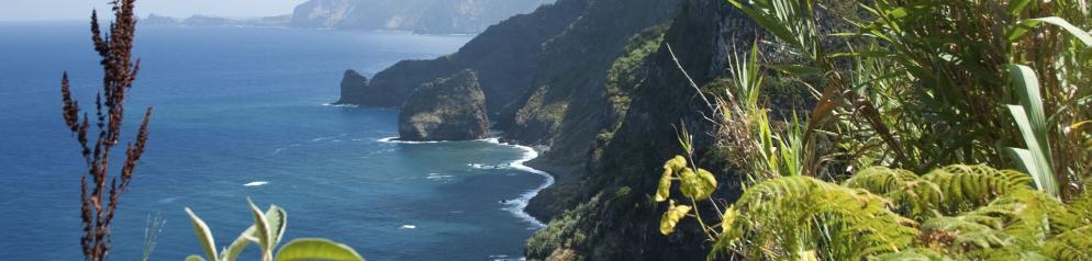 Madeira Madeira