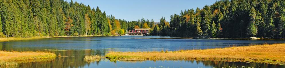 Bayerischer Wald Bayerischer Wald