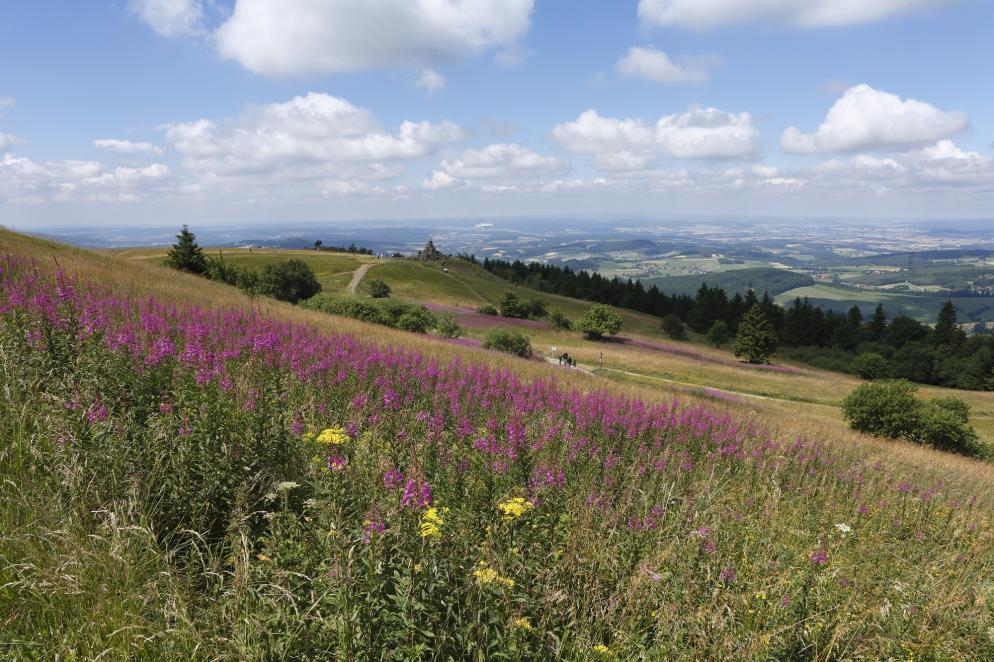 Deutschland: - Rhön - Hessen - Franken- Thüringen