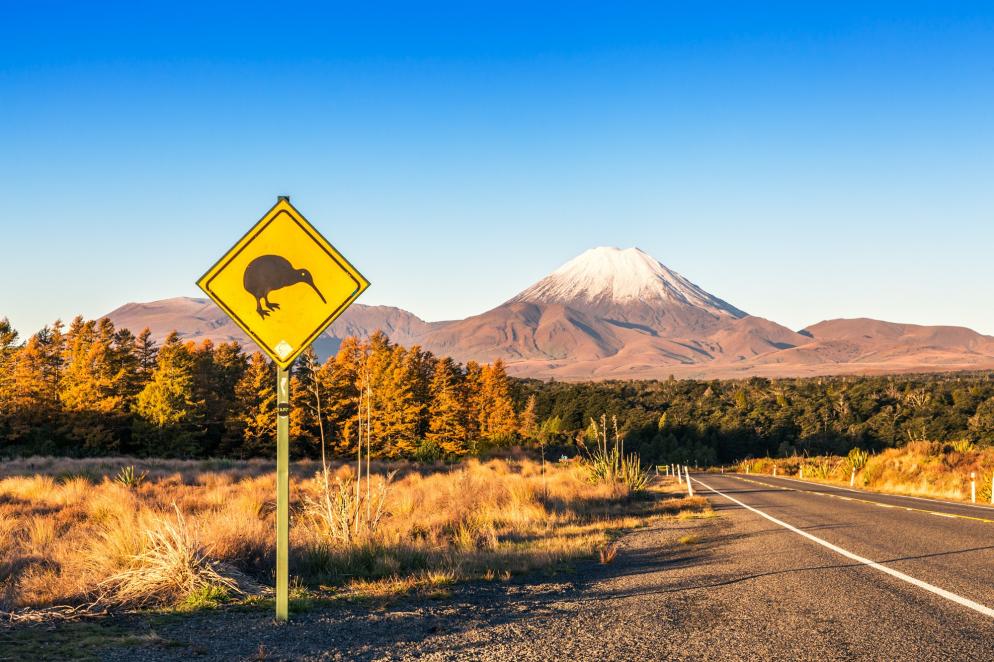 Neuseeland: Tongariro