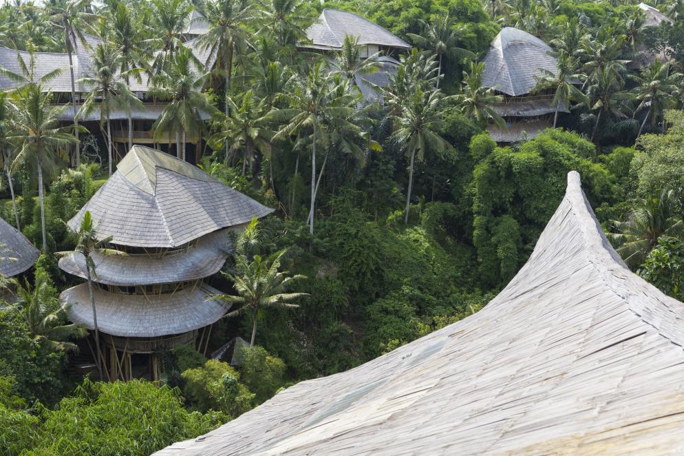 Indonesien: Bali - Baumwipfel Häuser